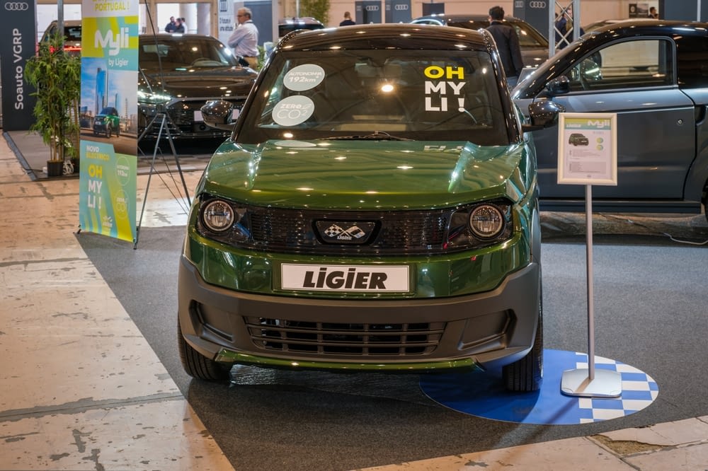 voiture sans permis liger